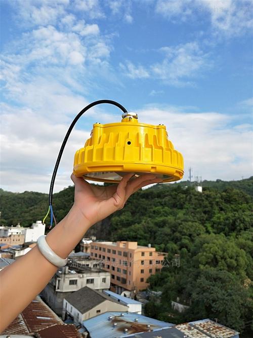 GL9081 LED防爆照明燈60W 安全與高效的工業照明革新方案